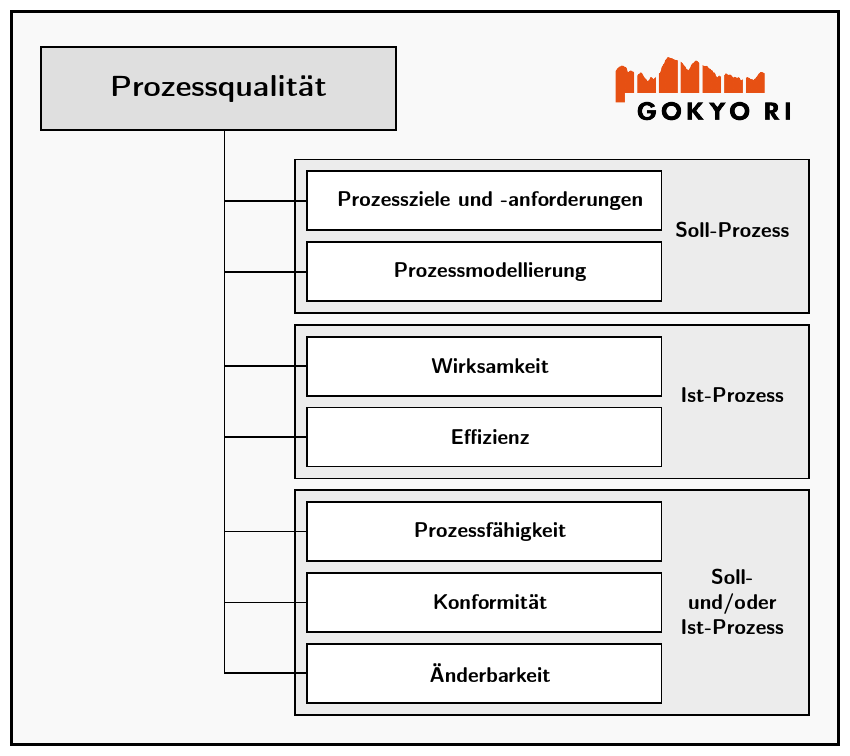 Prozessqualitätsmodell Gokyo Ri: Die erste Ebene